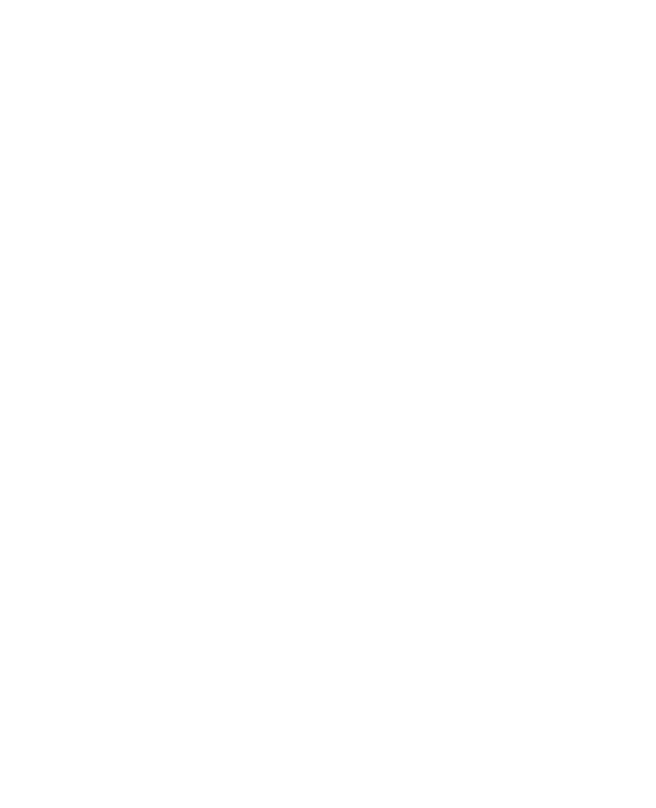 Scaffolding